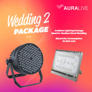 Paket Wedding Lighting 2